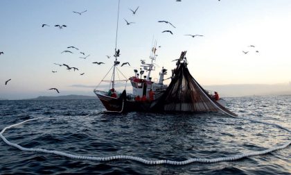 Pesca, approvate per la prima volta in Liguria i corsi formativi per pescaturismo e ittiturismo