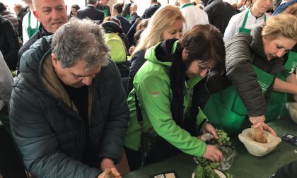 Pesto patrimonio UNESCO 2mila firme raccolte fino ad ora