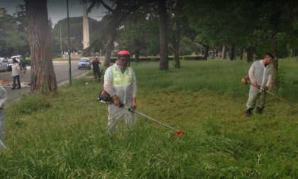 Manutenzione del verde: in fase di aggiudicazione il servizio