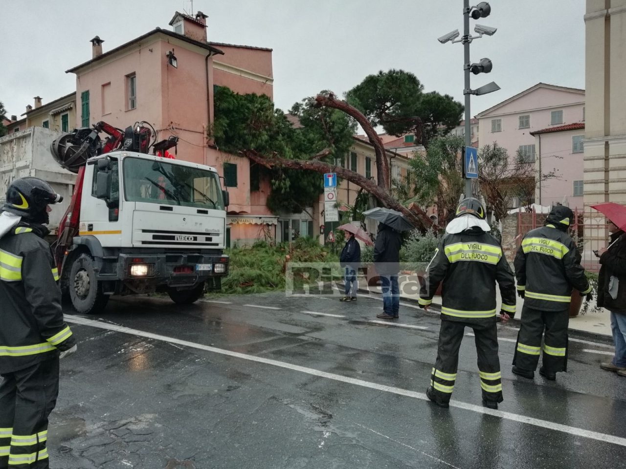 Crollano due alberi in poche ore a Imperia, chiusa via Scarincio. Altri pini a rischio/ Foto