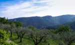 Boom di furti nelle aziende agricole del Ponente ligure