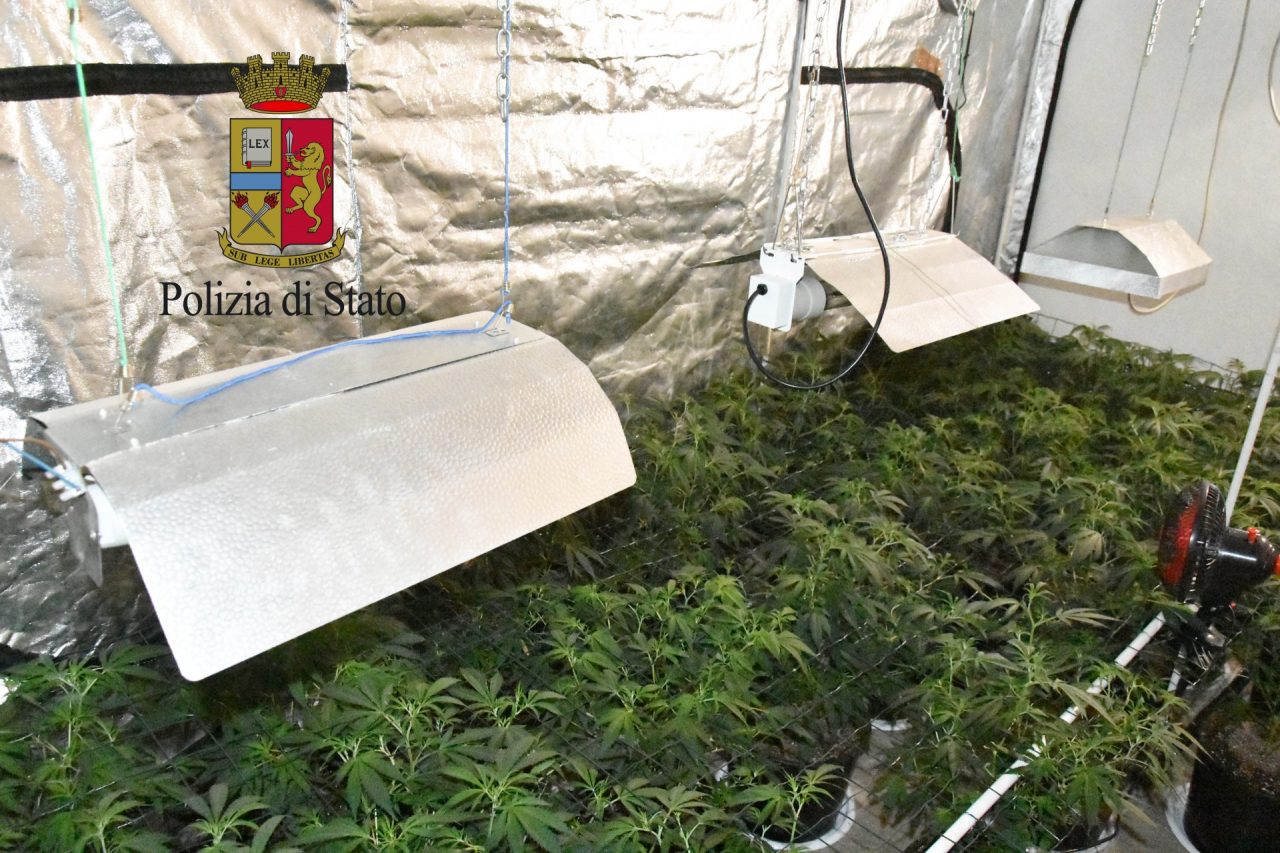Muore a 35 anni intossicato da monossido di carbonio, in casa una piantagione di marijuana