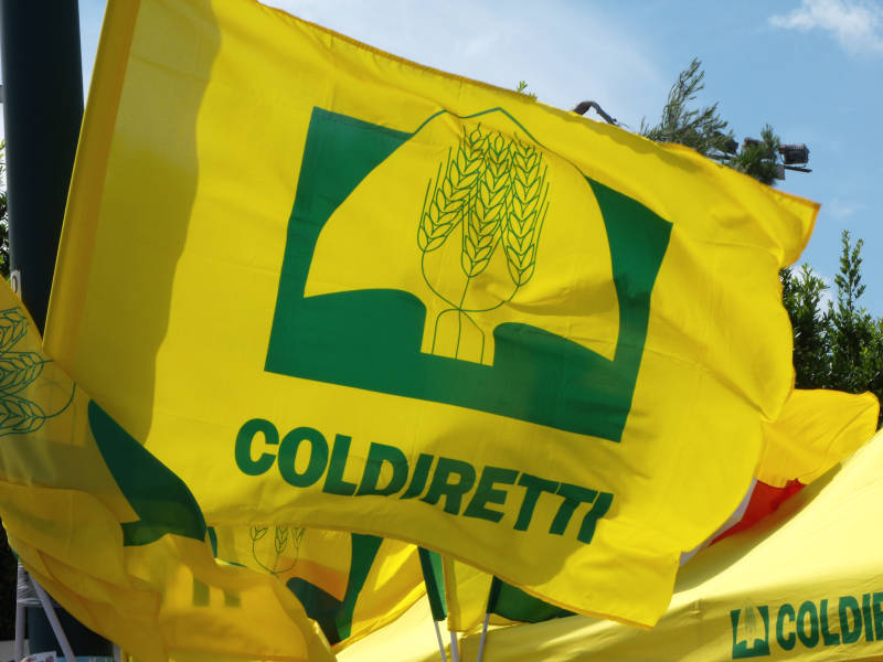 Il Governo toglie il “segreto di Stato” sui cibi stranieri. Esultano gli agricoltori liguri