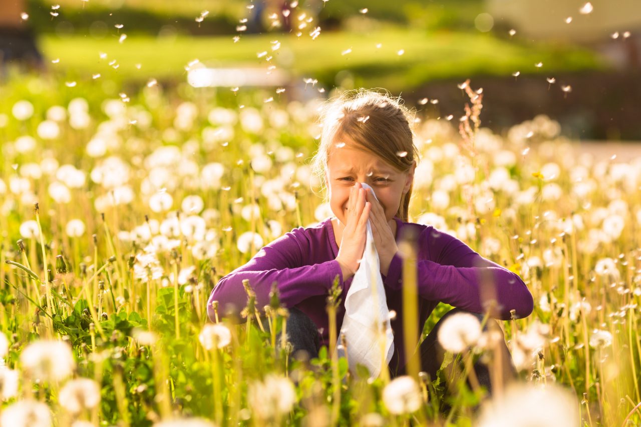 L’Arpal emana bollettini settimanali contro le allergie ai pollini