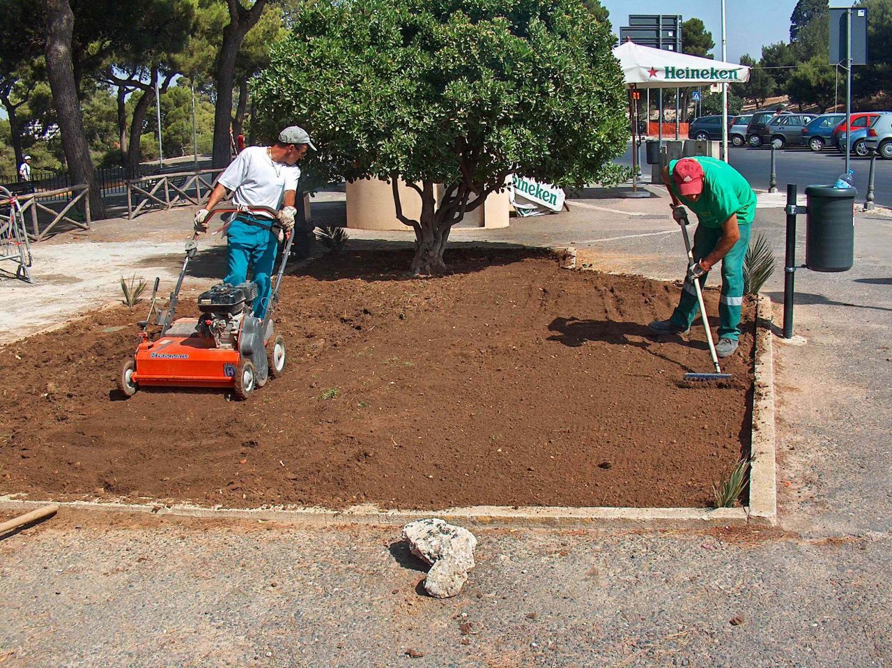 Un bando per la gestione delle aree verdi cittadine