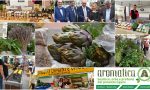 Aromatica 2018: a Diano Marina i sapori del Ponente ligure