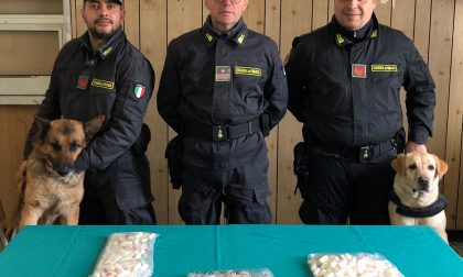 Arrestati dalla Finanza 3 pusher con 300 ovuli di eroina e cocaina