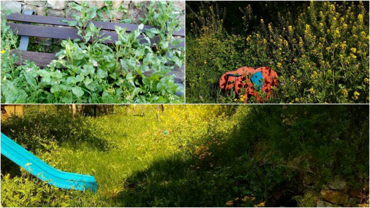 Parco giochi “scompare” tra le erbacce FOTO
