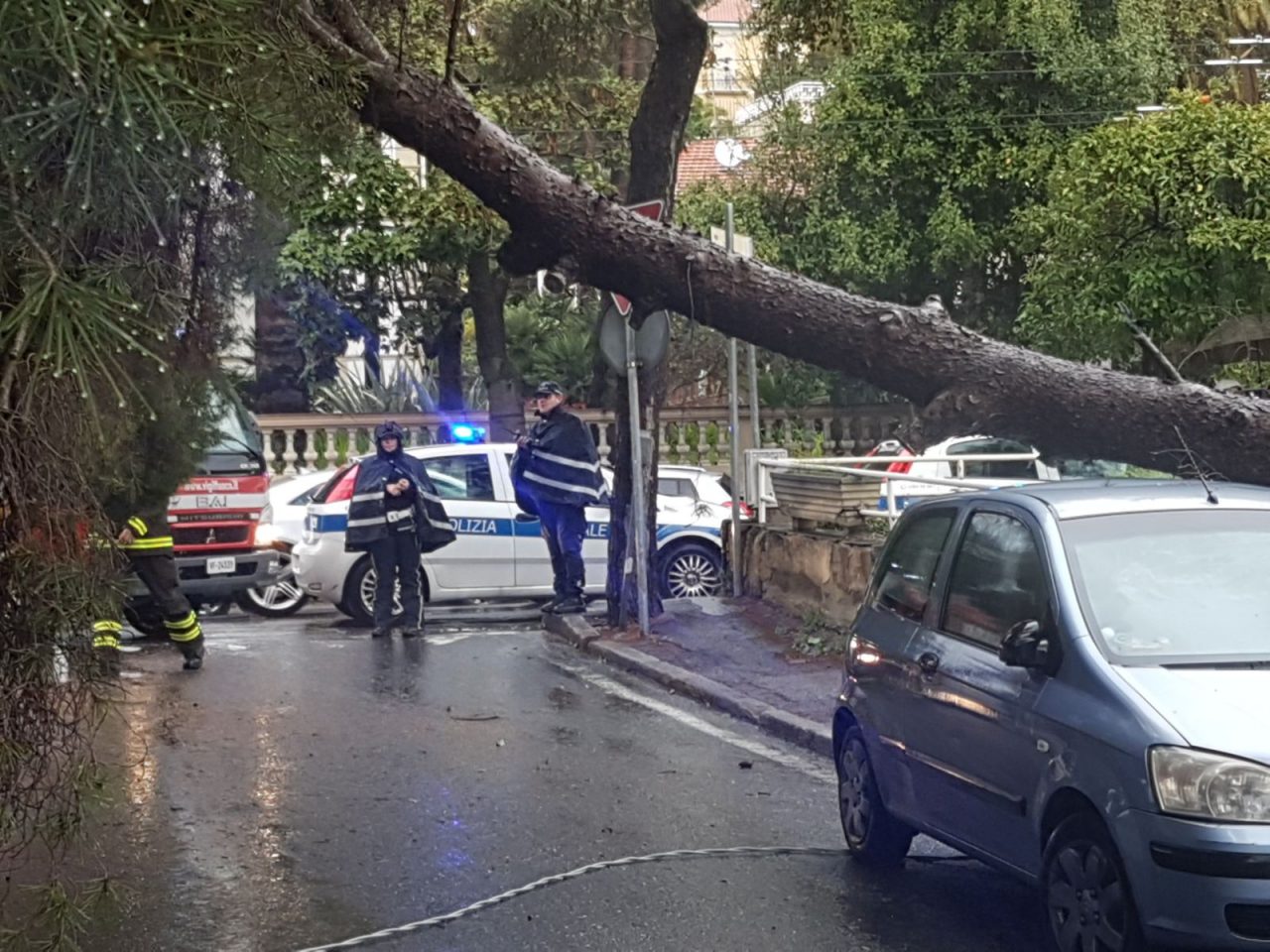 Il sindaco ordina potatura e abbattimento degli alberi pericolosi
