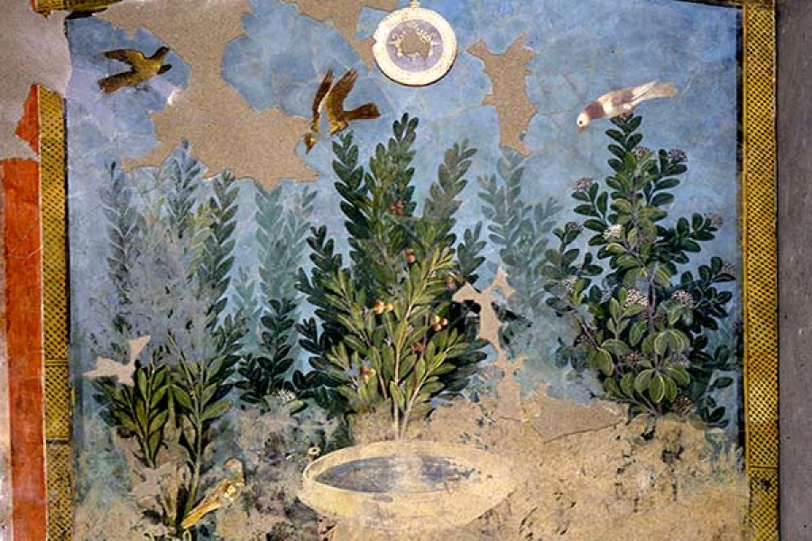 Due incontri Aspettando Aromatica