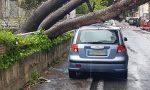 Maltempo Albero si abbatte su un'auto a Sanremo