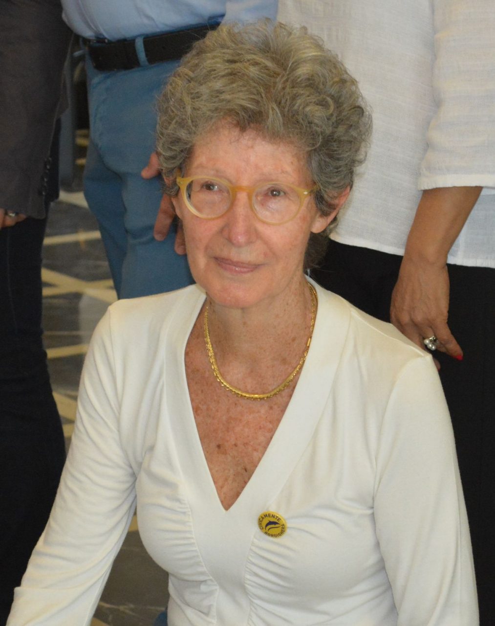 Querelle giardini Lowe, la risposta della minoranza al sindaco Ingenito