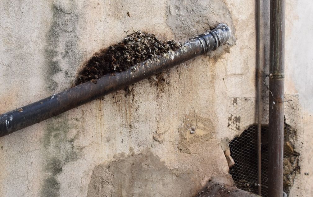 Piccioni Bordighera Alta sporcizia