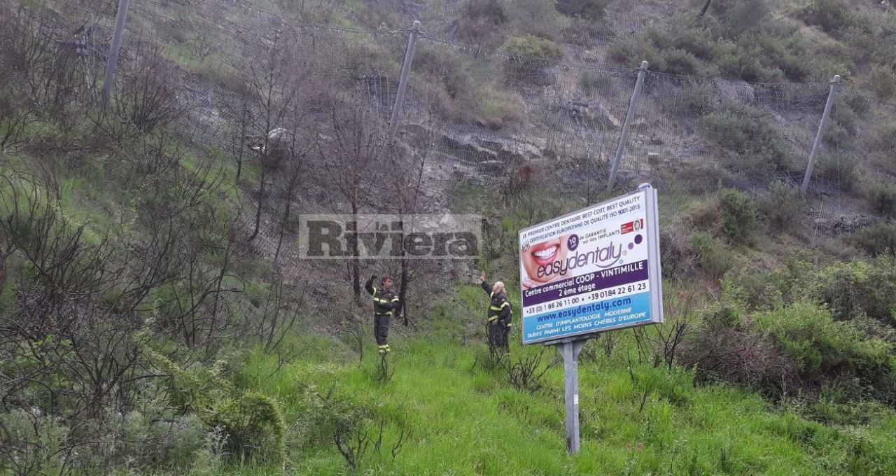 Mucca muore precipitando nella roccia. Vigili del fuoco la recuperano. Foto
