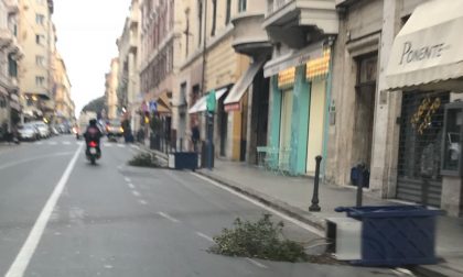 Fioriere abbattute e vetri rotti: vandali in azione a Sanremo