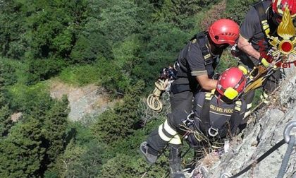 Un cane dato per disperso sul monte Toraggio, allertati i vigili del fuoco