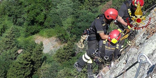 Un cane dato per disperso sul monte Toraggio, allertati i vigili del fuoco