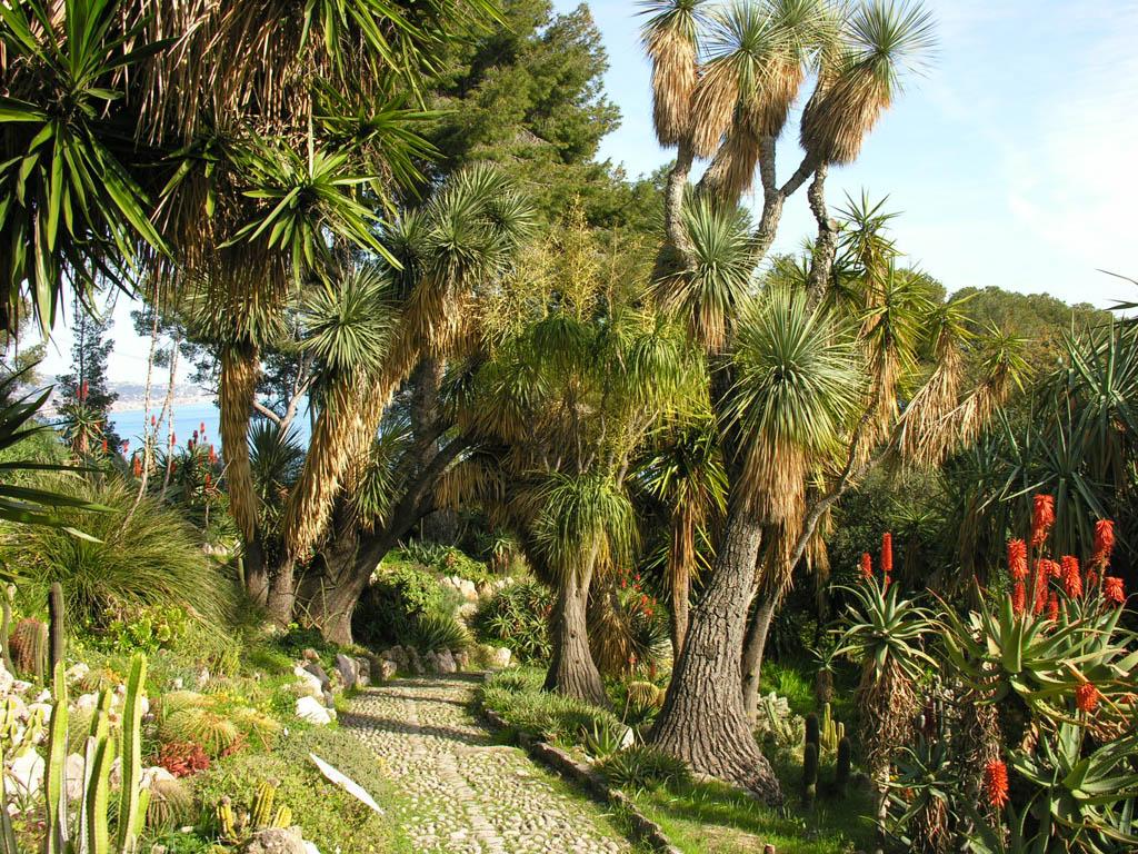Laboratorio di fotografia per i ragazzi dell’ISAH
