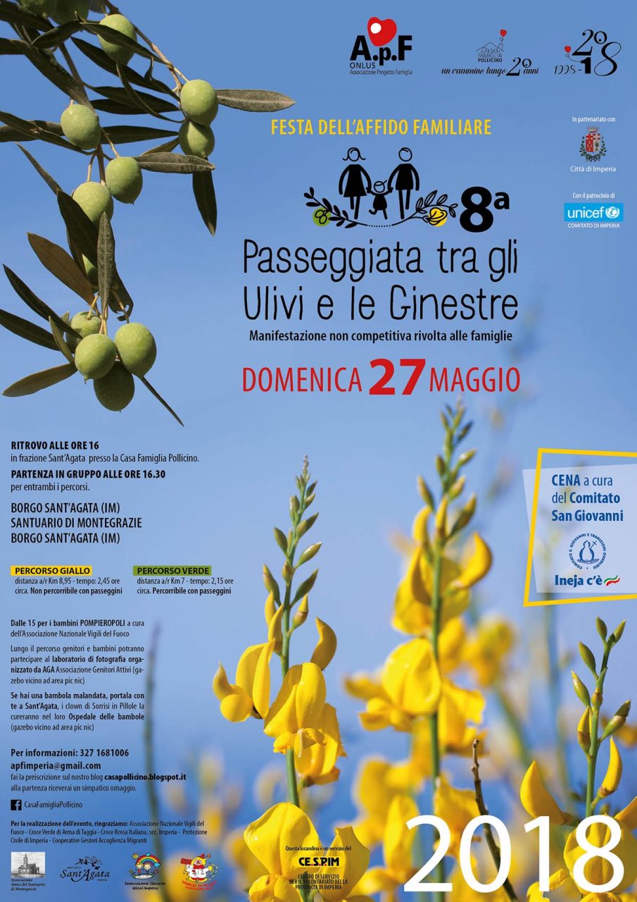 Passeggiata tra gli ulivi e e le ginestre in fiore