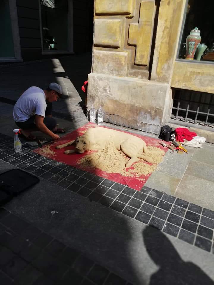 Cane di sabbia scambiato per vero. Diverse segnalazioni ai vigili