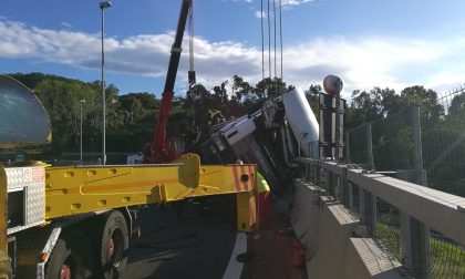 Si schianta il camion che trasportava i cavalli per il Concorso di Sanremo
