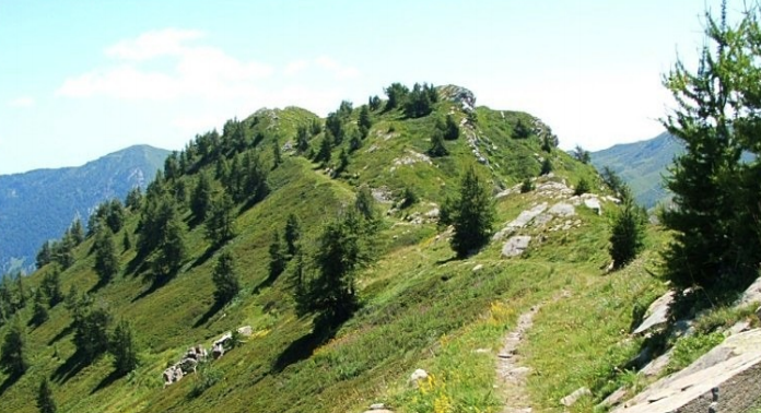 Rododendri in fiore: domenica l’escursione