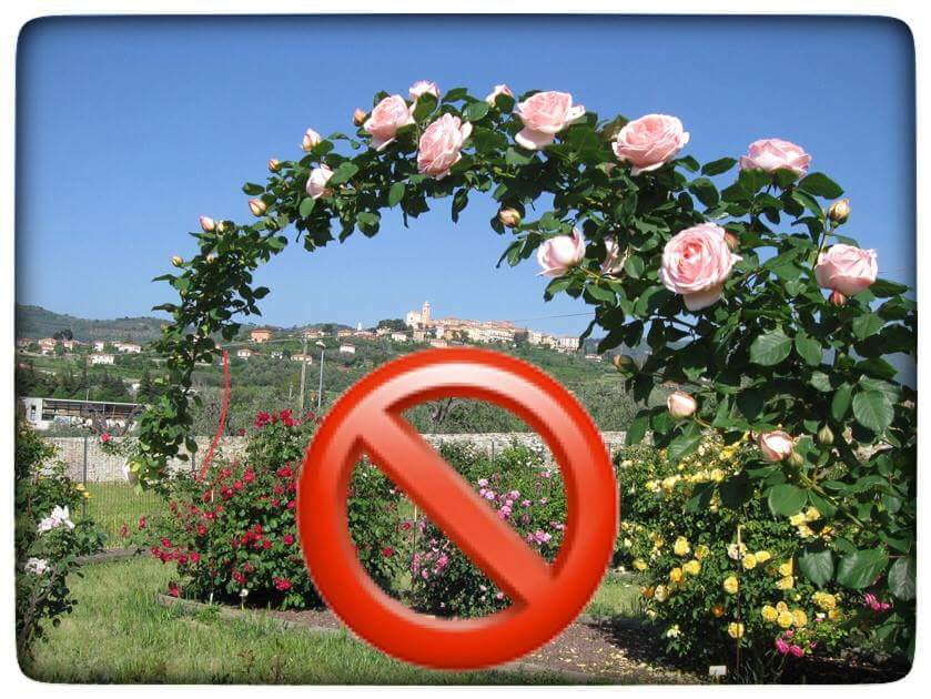 Il Roseto Patrucco sequestrato dalle autorità