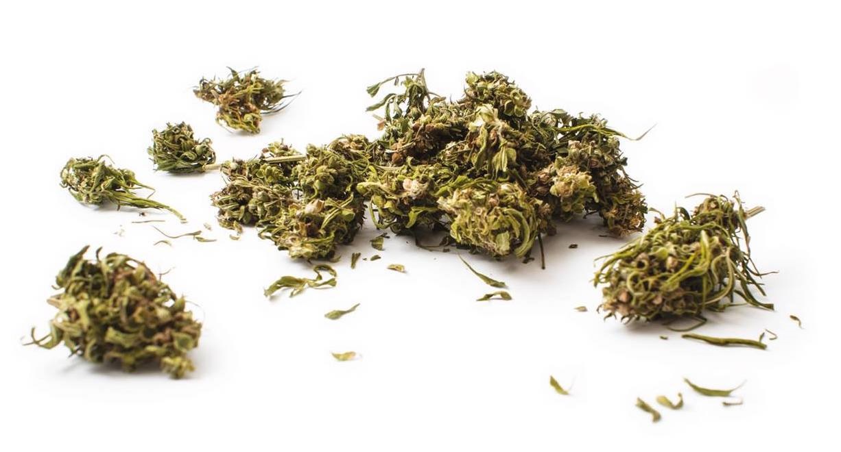 Parere negativo sulla vendita di cannabis light
