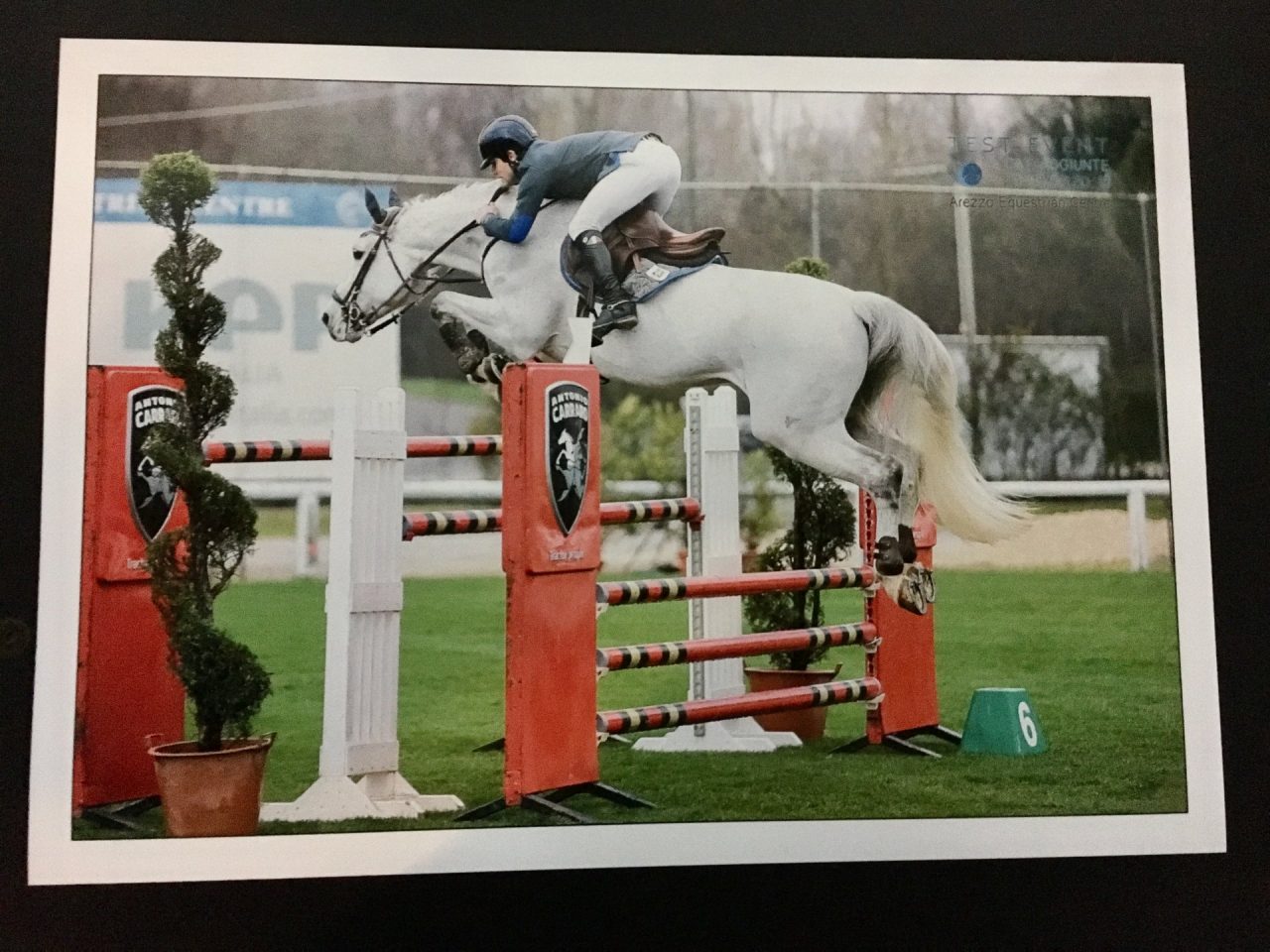All’albese Spinelli il Gran Premio del Concorso Ippico internazionale