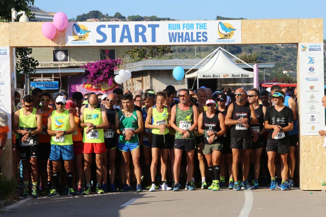 Run for the whales: la carica dei 550 a sostegno dei cetacei