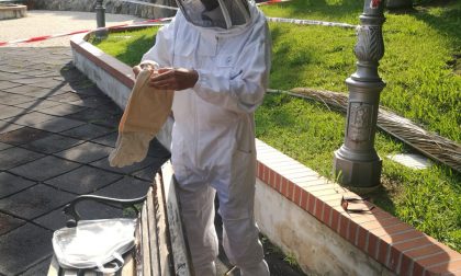 Sanremo: Rangers debellando nido di vespe sotto allo scivolo