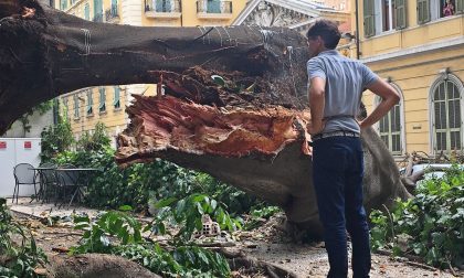 Tragedia sfiorata di Via Roma: il sindaco Biancheri emette una nuova ordinanza