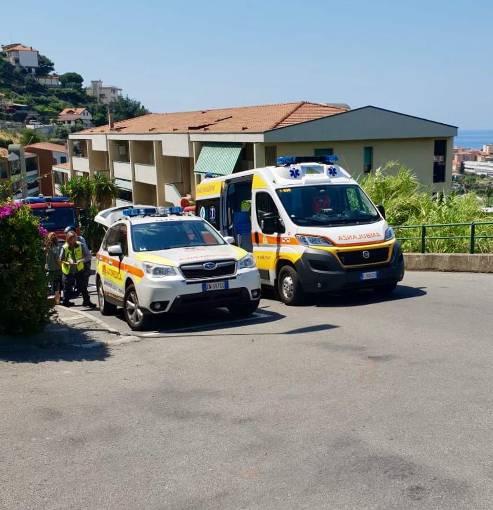 Giardiniere in choc anafilattico dopo aggressione da sciame di velutine