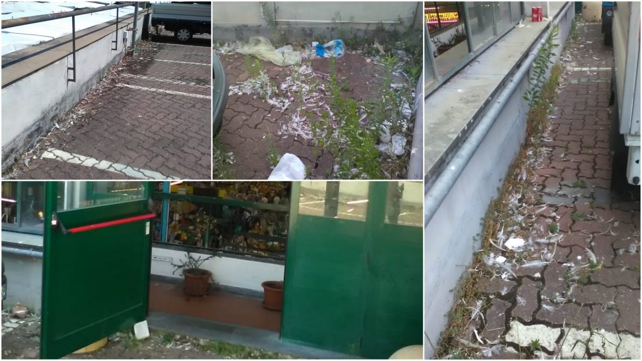 Mercato annonario: il degrado nel parcheggio