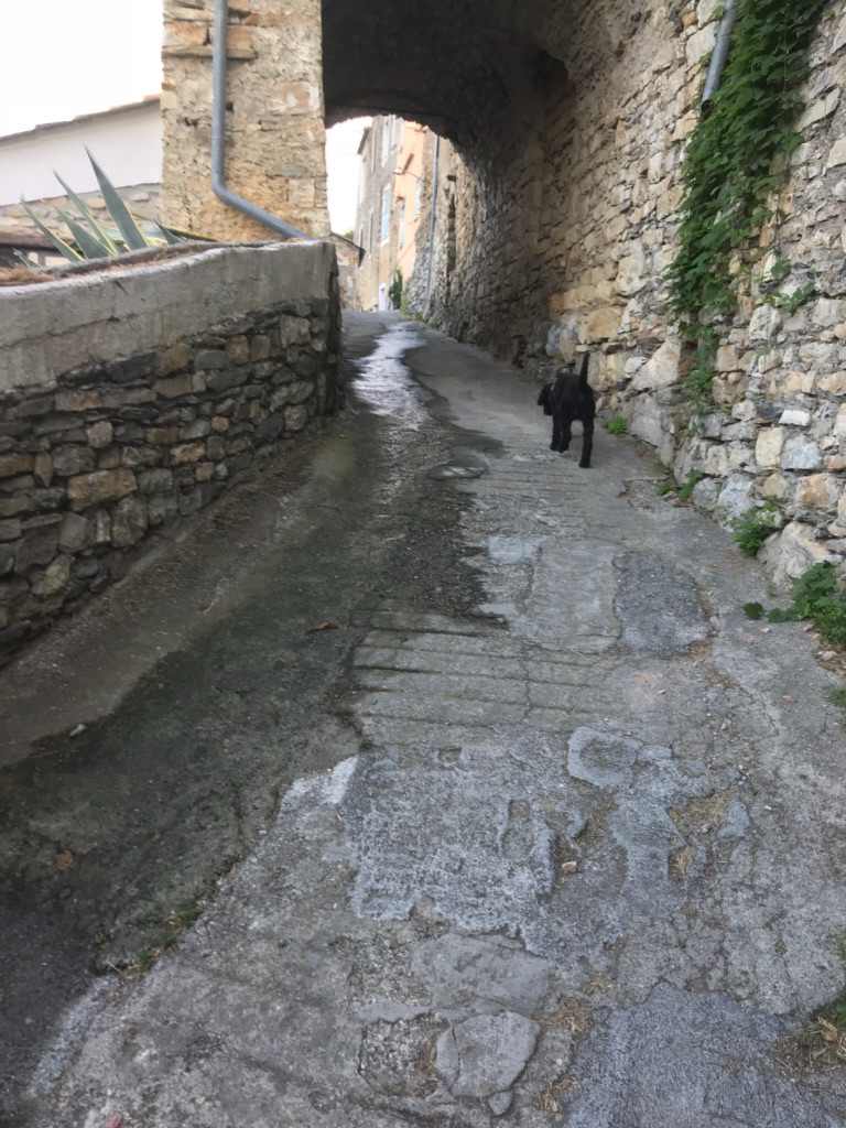 Scoppiano fogne Dolcedo tedeschi in fuga e monta  protesta contro Rivieracqua