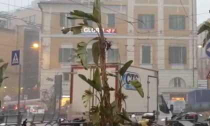 Il temporale arriva a Sanremo: grandine e forte vento