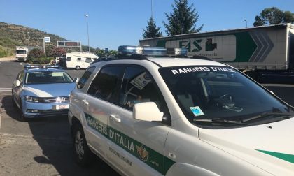 I Rangers contro l'abbandono degli animali sull'Autostrada dei Fiori