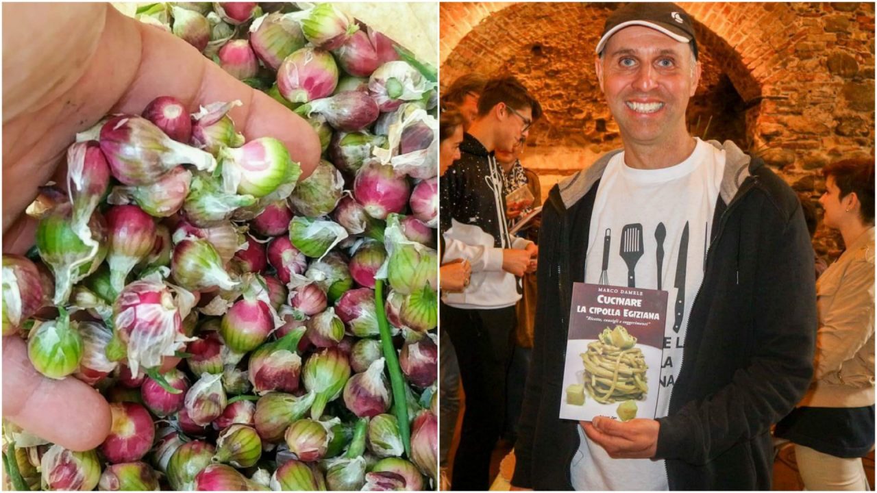 MOAC: stasera i ravioli con la cipolla egiziana ligure