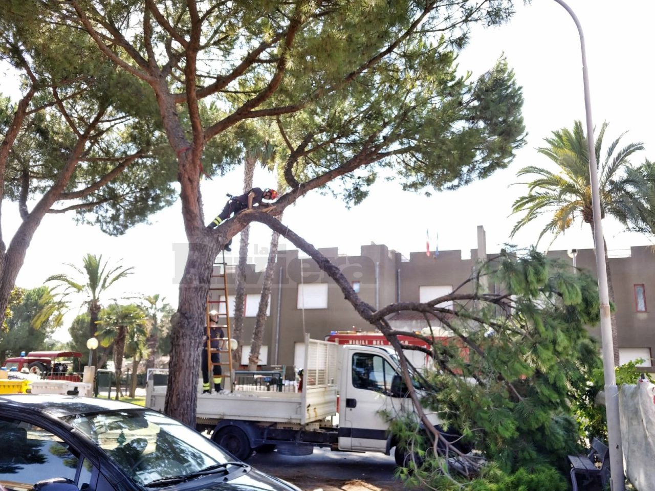 Crolla ramo di un pino davanti all’asilo: travolti auto e furgone