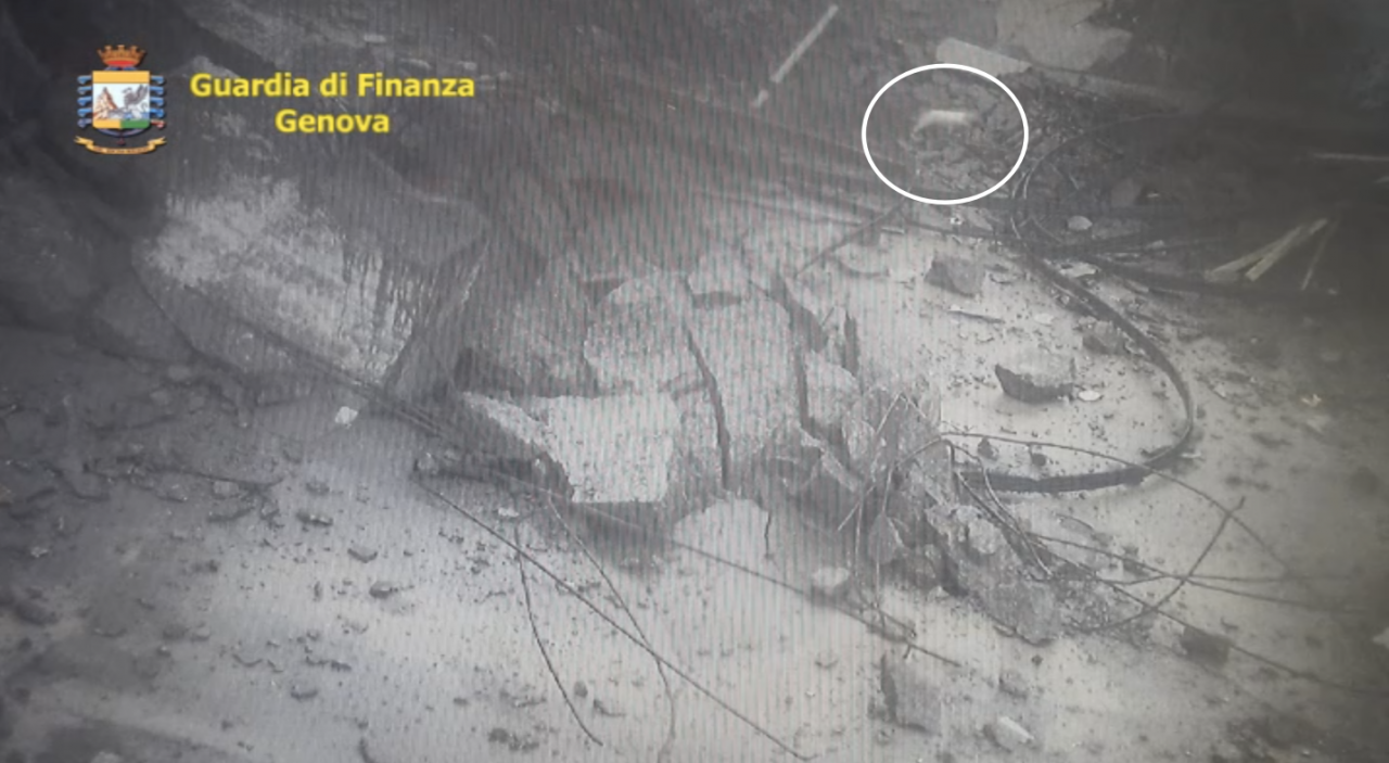 Video: il gatto che scappa tra le macerie del ponte crollato a Genova