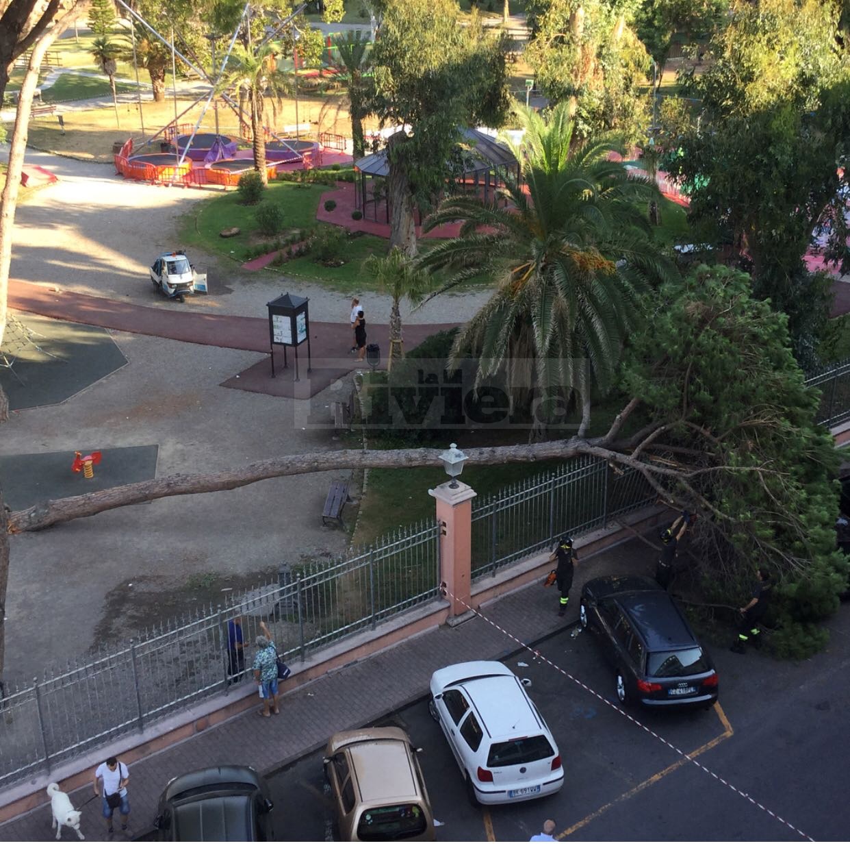 Albero crollato Giardini Tommaso Reggio Ventimiglia