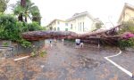 Alberi sradicati e ascensori bloccati: il maltempo si abbatte in Riviera