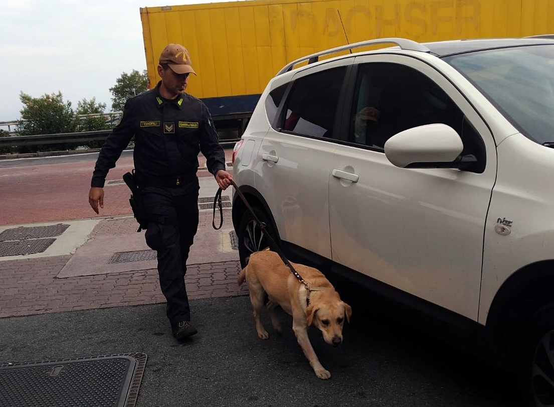 Contrabbando, sequestrati oltre 500 pacchetti di sigarette alla frontiera