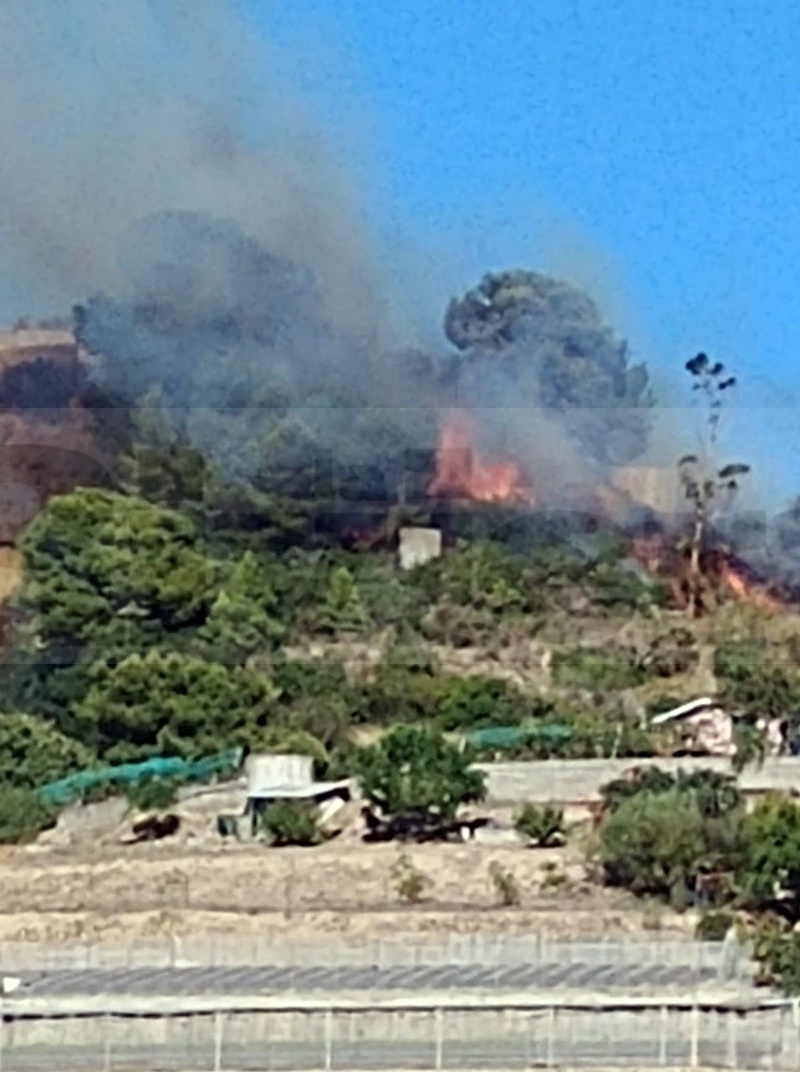 Incendio Bussana Sanremo sterpaglie