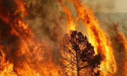 Regione decreta lo stato di grave pericolosità incendi