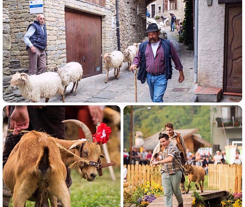 Un lungo e ricco weekend nel Parco delle Alpi Liguri