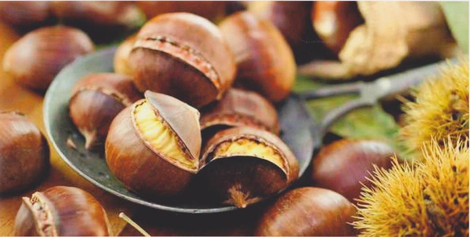 Castagnata a Rocchetta Nervina domenica 28 ottobre