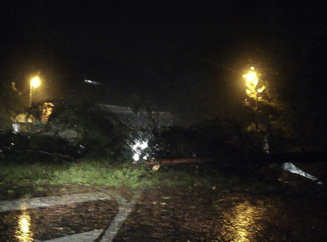 Il vento travolge il Ponente ligure. Disagi sulle strade