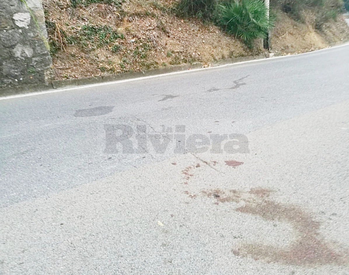 Frontale in moto contro due cinghiali, uno muore: ferito 17enne