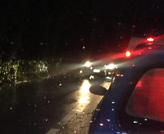 Crolla bouganville sull’Aurelia, disagi a Latte